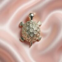 SILVER TORTOISE